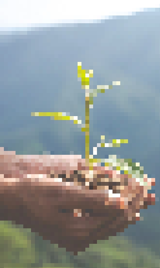 Imagem reciclagem